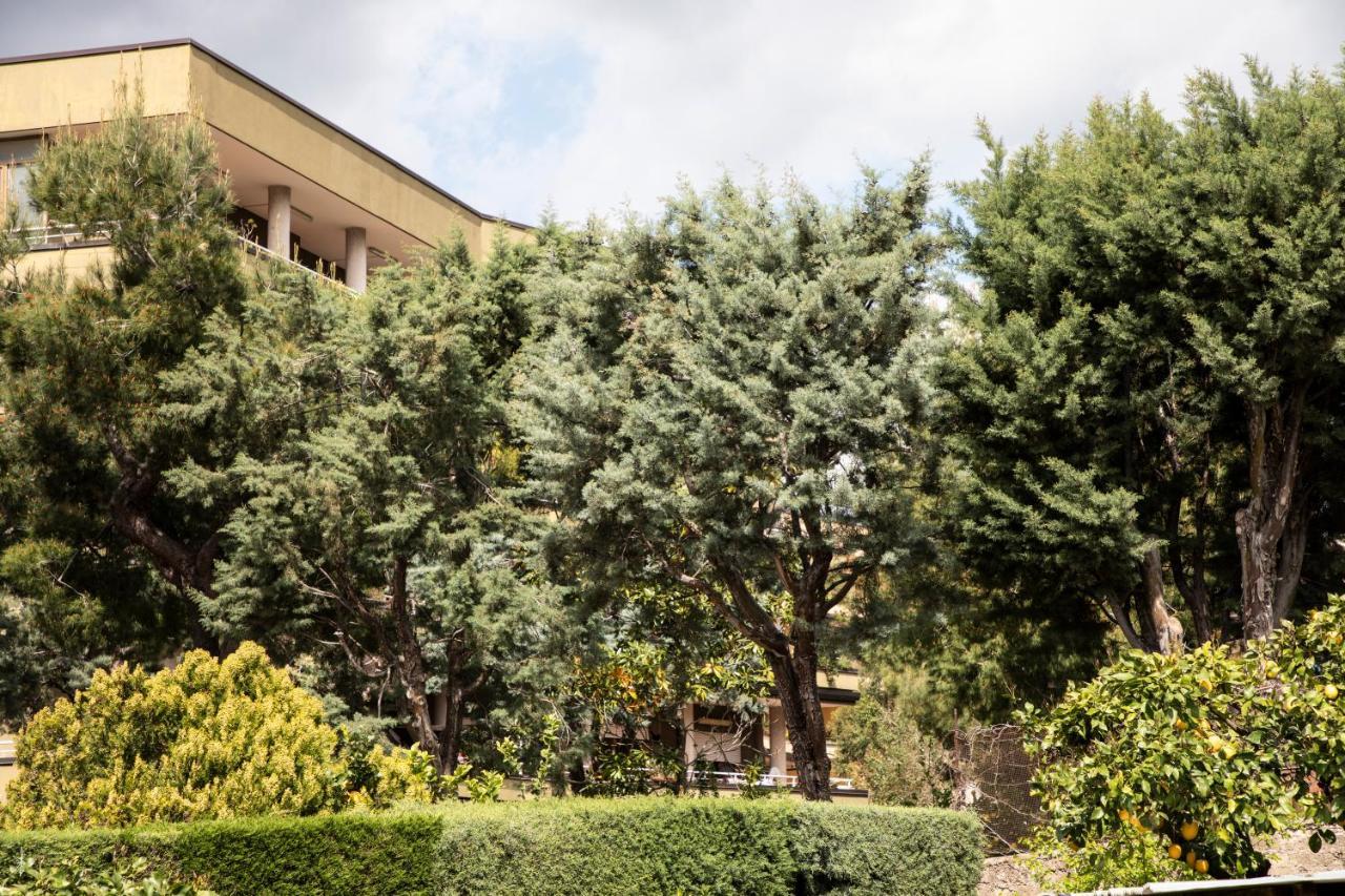 L' Albero Di Giada Bed & Breakfast Caserta Ngoại thất bức ảnh