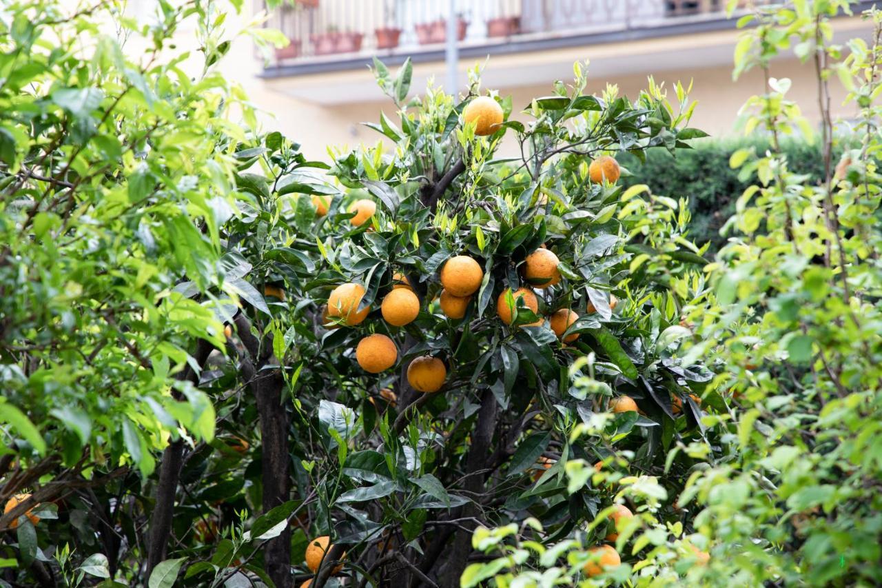 L' Albero Di Giada Bed & Breakfast Caserta Ngoại thất bức ảnh